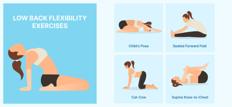 Top 7 Back Flexibility Exercises - All Injury Rehab
